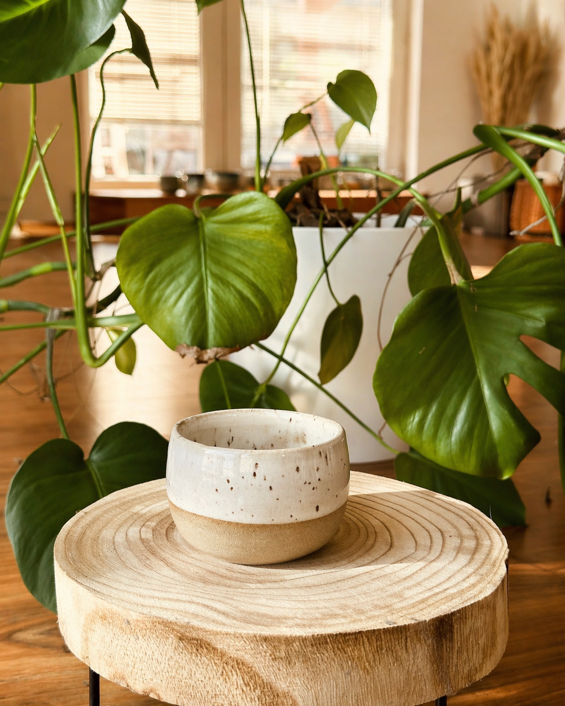 Bílá keramická miska na dřevěné podložce mezi pokojovými rostlinami